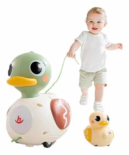 ברווזון זחילה Hola Toys