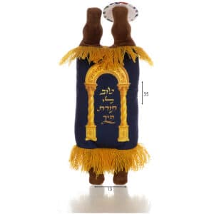 משקפי שמש נצנצים