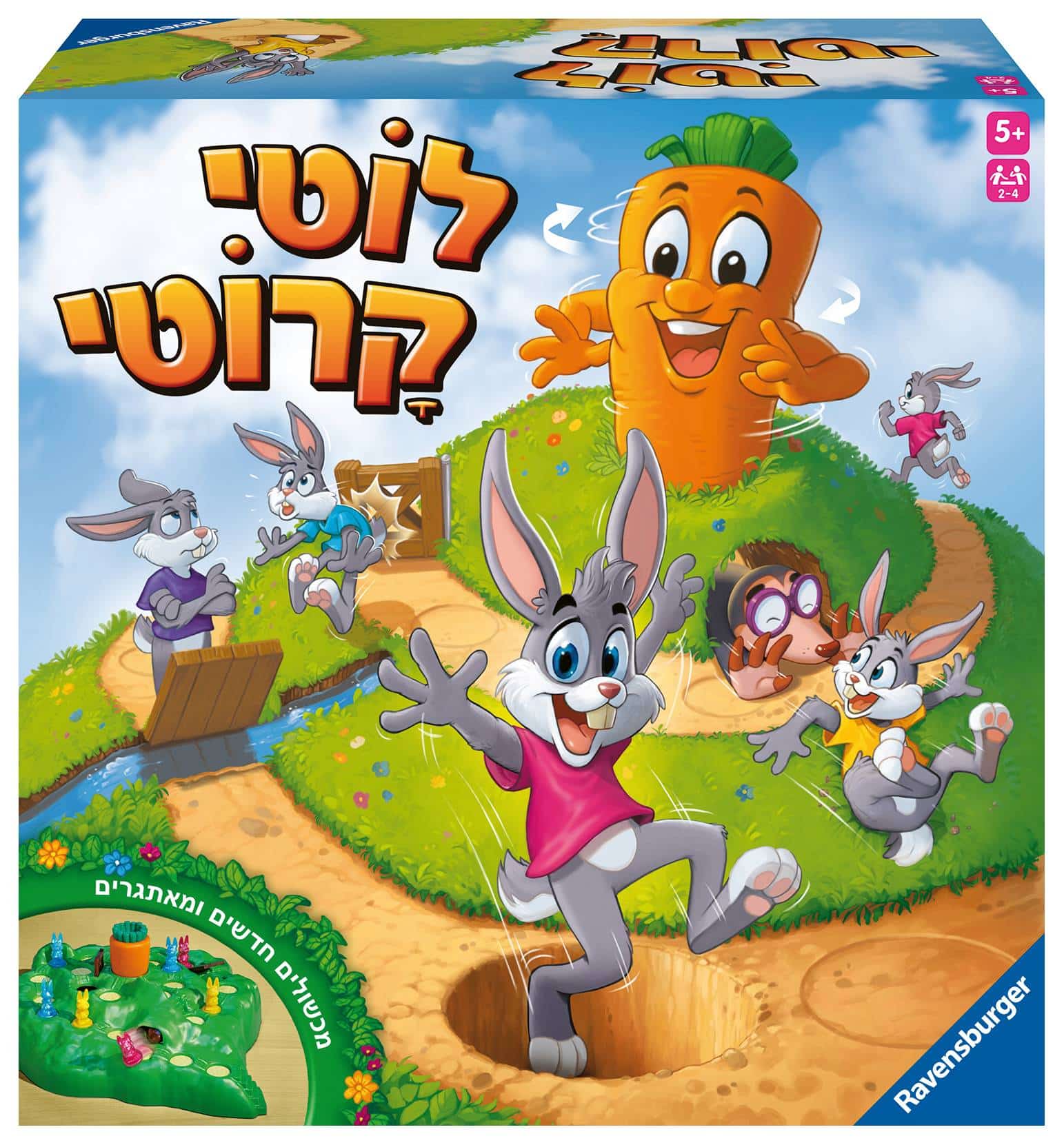 לוטי קרוטי חדש ravensburger